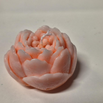 Candle Blush Peach Peony Bloom Candle (Med)