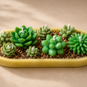 Candle Succulent Serenity Tray Candle