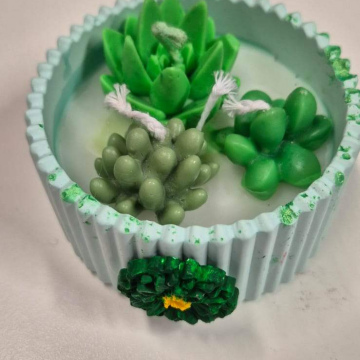 Candle Succulent Garden Candle (Gypsum Bowl)
